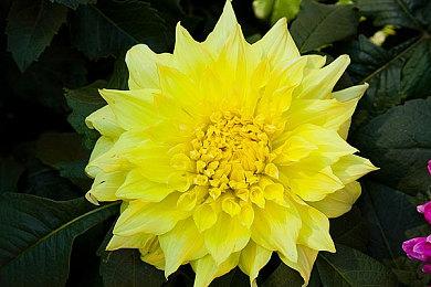 《漫威银河护卫队》全新8分钟实机游戏画面分享